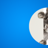 酒井法子さんの裁判を事例に見る立ち退き要求の現実