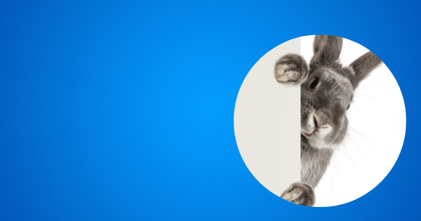 酒井法子さんの裁判を事例に見る立ち退き要求の現実