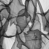 不動産屋さんは言いたくない：普通賃貸借契約が2年間の根拠