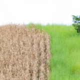 管理会社変更の手順:変更する前に知っておきたいこと