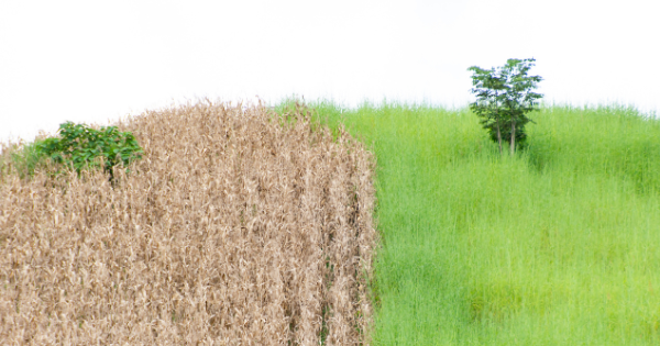 管理会社変更の手順:変更する前に知っておきたいこと
